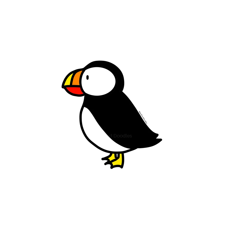 What am I doing here Puffin illustration
