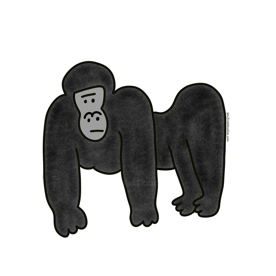 The K. Kong illustration