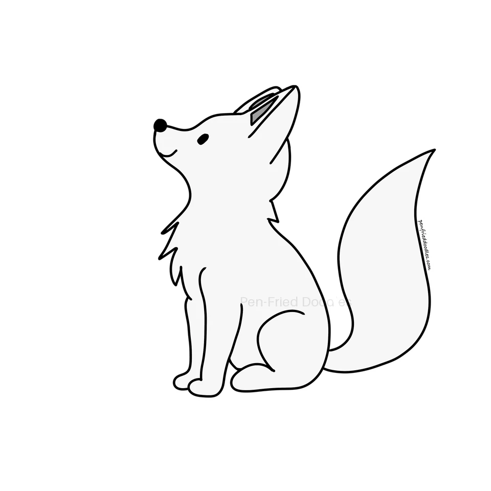 The Stargazing Fox illustration